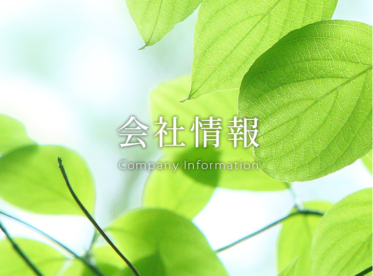 会社情報
