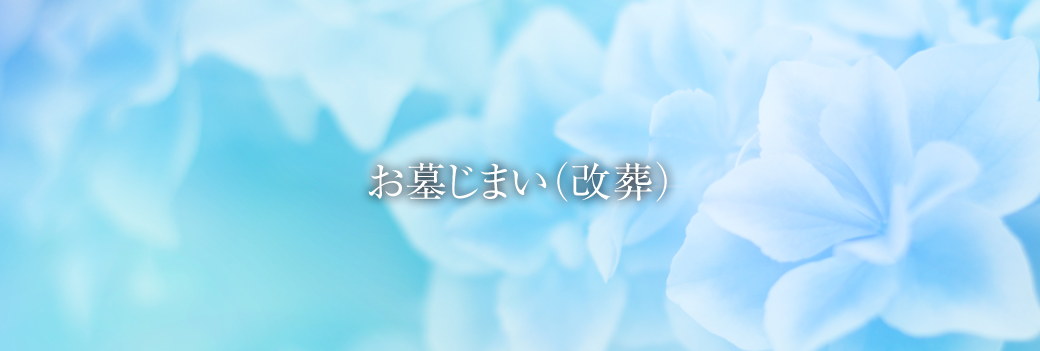 会社情報